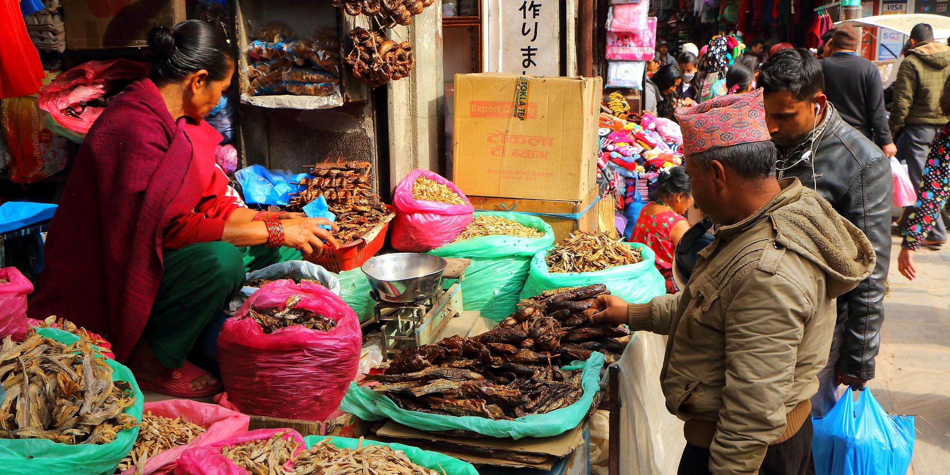 Erholung von Pandemiefolgen BMZ