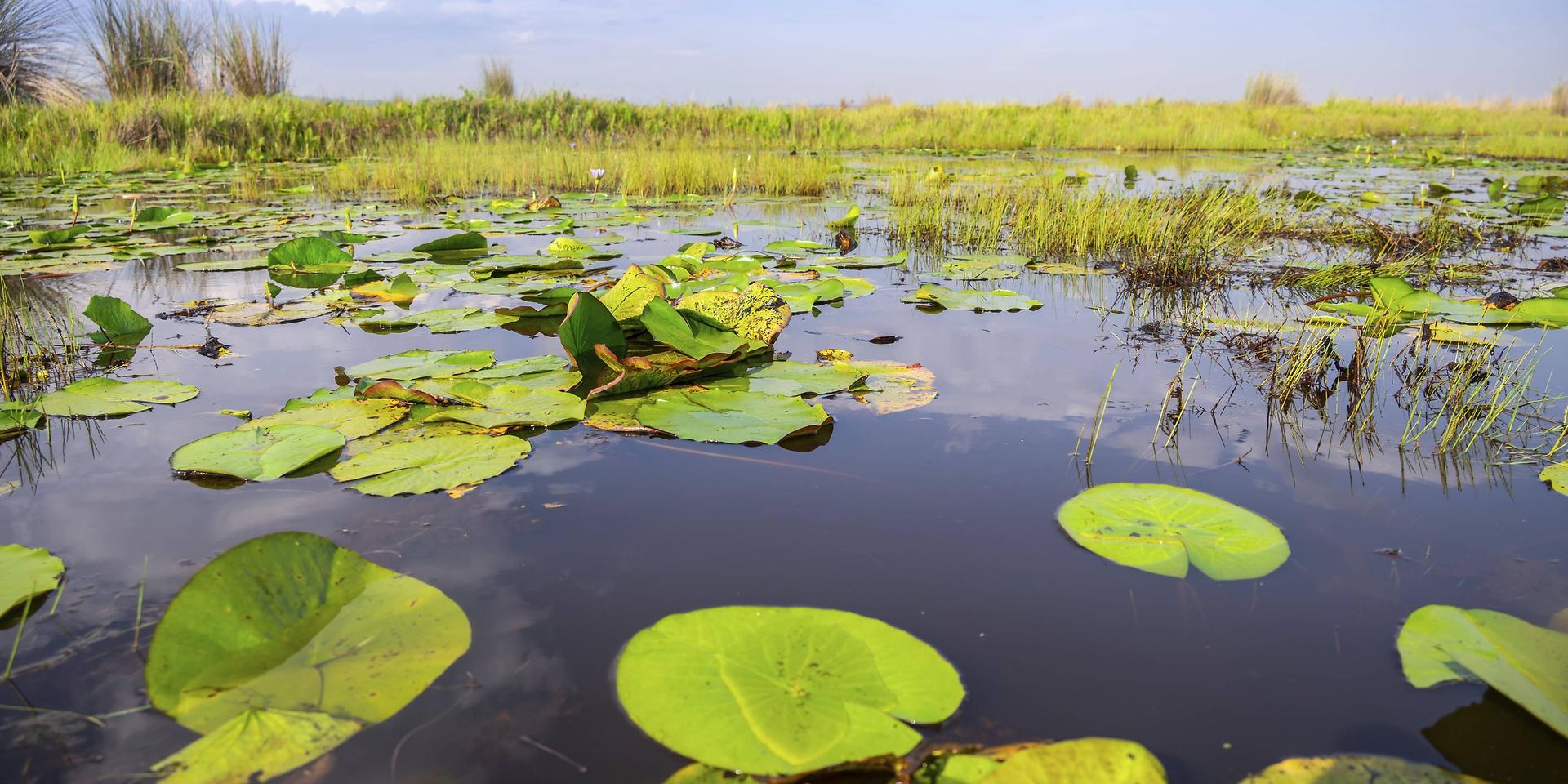 Biodiversität und Klima | BMZ