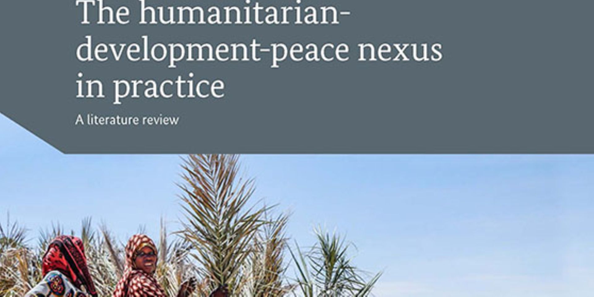 The humanitariandevelopmentpeace nexus in practice BMZ