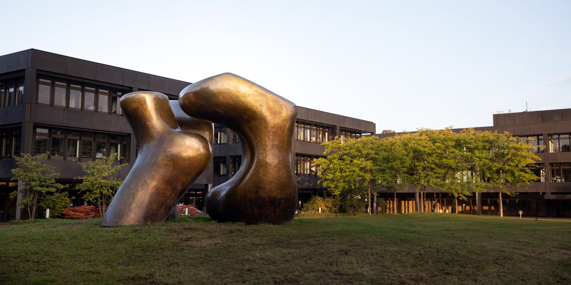 Aufbau und Struktur BMZ